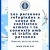 Formació Icafi