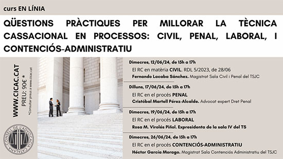Formació Icafi